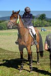 ref. photo 3291042