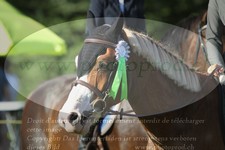 ref. photo 3291052