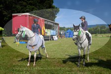 ref. photo 3291157