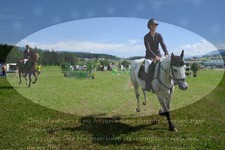 ref. photo 3291170