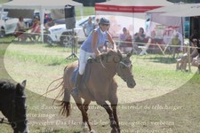 ref. photo 3291256