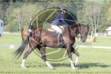 ref. photo 3746019