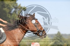 ref. photo 3746034