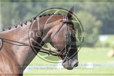 ref. photo 3746190