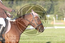 ref. photo 3746245