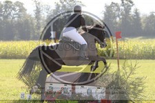 ref. photo 3746411