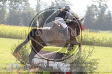 ref. photo 3746972