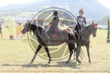 ref. photo 3747048