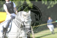 ref. photo 3747125