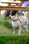 ref. photo 3747139