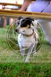 ref. photo 3747140