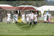 ref. photo 3747154