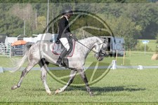 ref. photo 3747406