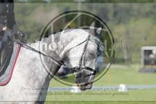 ref. photo 3747410