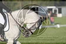 ref. photo 3747443