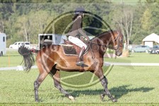 ref. photo 3747471