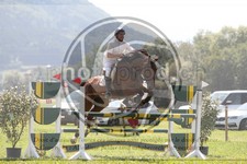 ref. photo 3748016