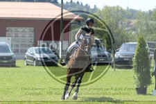 ref. photo 3748113
