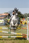 ref. photo 3748409