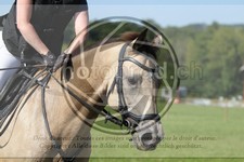 ref. photo 3748606