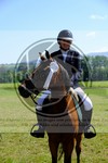 ref. photo 3748752