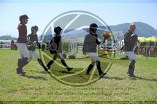 ref. photo 3748861