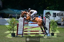 ref. photo 3673011