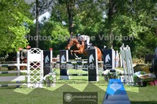 ref. photo 3673299