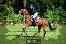 ref. photo 3673389