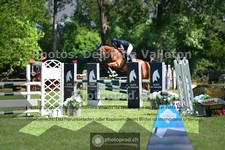 ref. photo 3673432