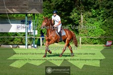 ref. photo 3673447