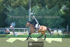 ref. photo 3673557