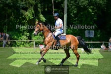 ref. photo 3673615