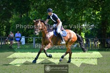 ref. photo 3673675