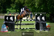 ref. photo 3673813