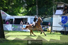 ref. photo 3673962