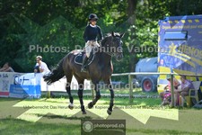 ref. photo 3674039