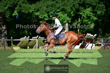 ref. photo 3674542