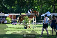 ref. photo 3674613