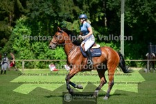 ref. photo 3674723