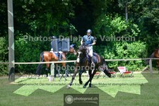 ref. photo 3674884