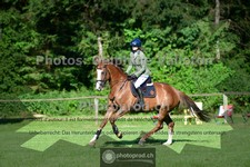 ref. photo 3675040
