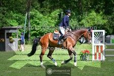 ref. photo 3675070