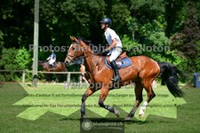 ref. photo 3675133