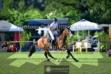 ref. photo 3675181