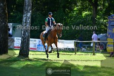 ref. photo 3675235