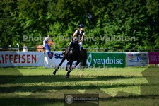 ref. photo 3675794
