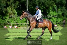 ref. photo 3676067
