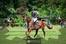 ref. photo 3676073