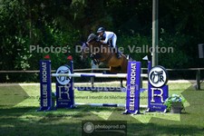ref. photo 3676219